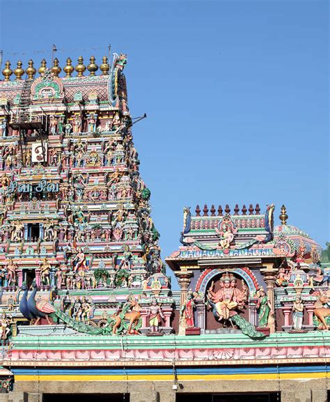 maa to syd|$197 Cheap Flights from Chennai (MAA) to Sydney (SYD).